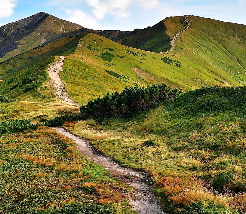 Berglandschaft_Westliche_Tatra © JerzyGorecki Mit Gras überwachsende Berge mit einem Wanderweg