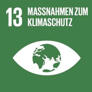 SDG_13 Icon des SDG 13
